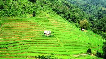 Lào Cai: Vẻ đẹp ruộng bậc thang Tân Tiến