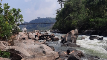 Măng Đen - Nàng thơ của Kon Tum đại ngàn