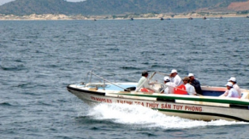 Hòn Cau (Bình Thuận): Vẻ đẹp hoang sơ, đa dạng tài nguyên sinh vật biển