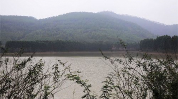 Hồ Bờ Tân – Thắng cảnh đẹp của Bắc Giang