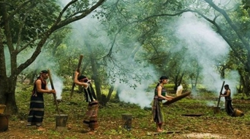 Thăm lại sóc BomBo, Bình Phước